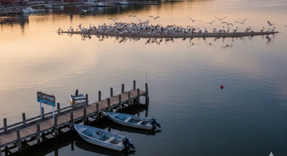 Pelican Harbor Bolingbrook